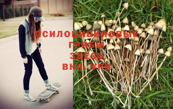 мдпв Каменск-Шахтинский