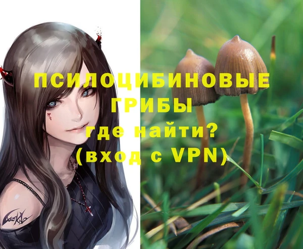 мдпв Каменск-Шахтинский