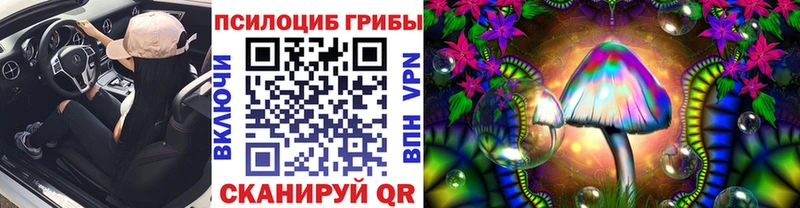 Купить  Костерёво  Галлюциногенные грибы Psilocybe 